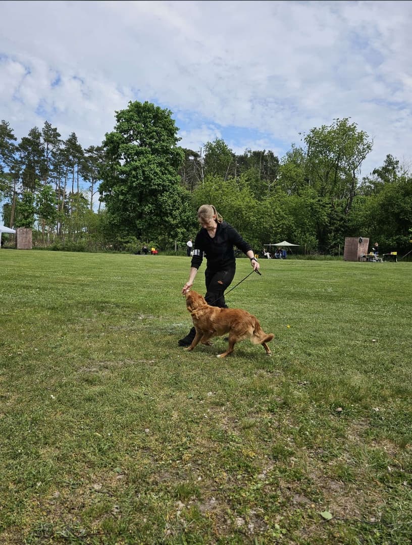 Individuelles Hundetraining & Bindungsaufbau
