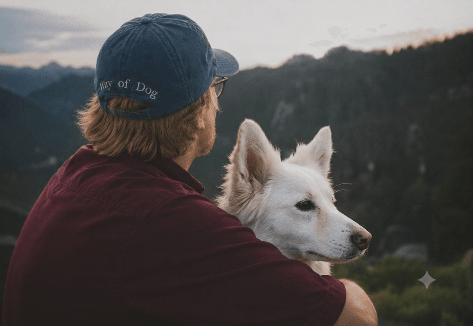 Hundebetreuung stundenweise